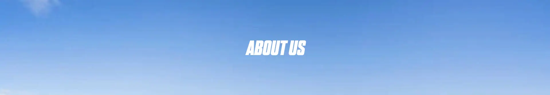 Experienced car grooming professionals in Hamilton workshop